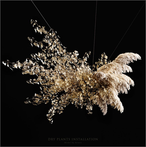 Dry plants installation